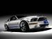 Shelby Shelby Cobra GT500KR Picture #27